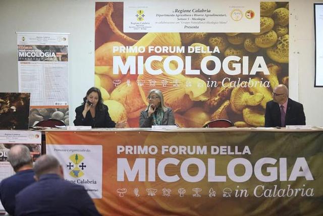 forum 3