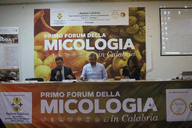 forum 2
