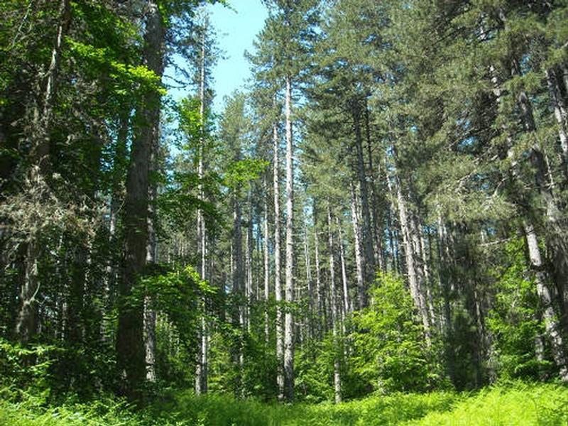 Dal Psr un milione per i piani di gestione dei siti Natura 2000