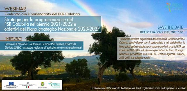 Il webinair
